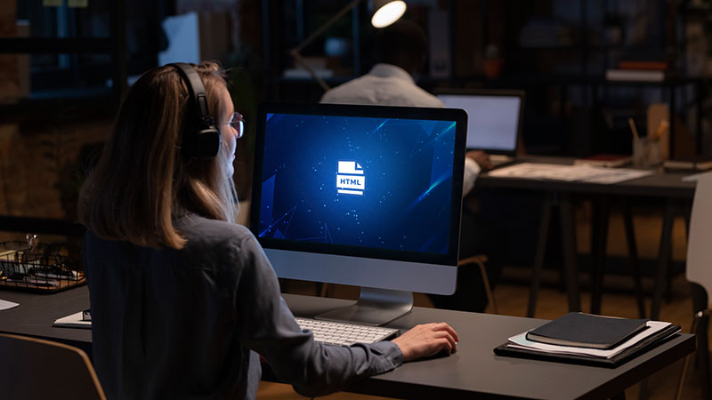 Professional Web Development Services by Moonlighters